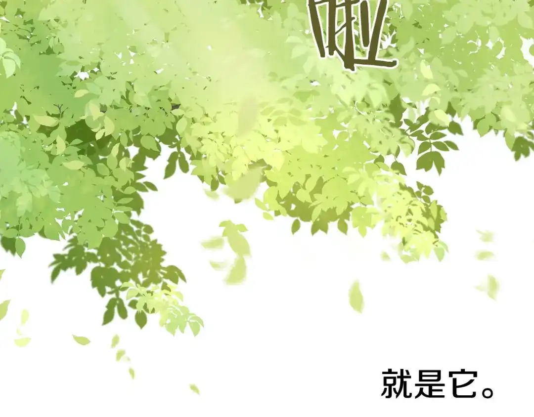 《我才不嫁皇太子！》第21话 木香的源头 第117页