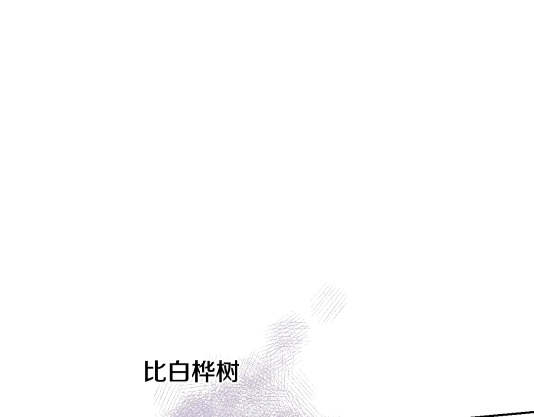 《我才不嫁皇太子！》第21话 木香的源头 第110页