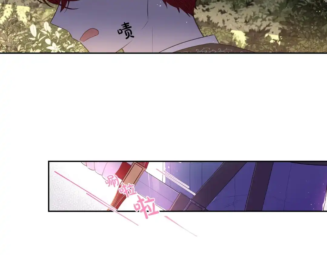 《我才不嫁皇太子！》第43话 说不出的感谢 第17页