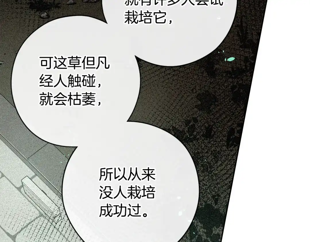 《我才不嫁皇太子！》第49话 女侠求放过！ 第28页
