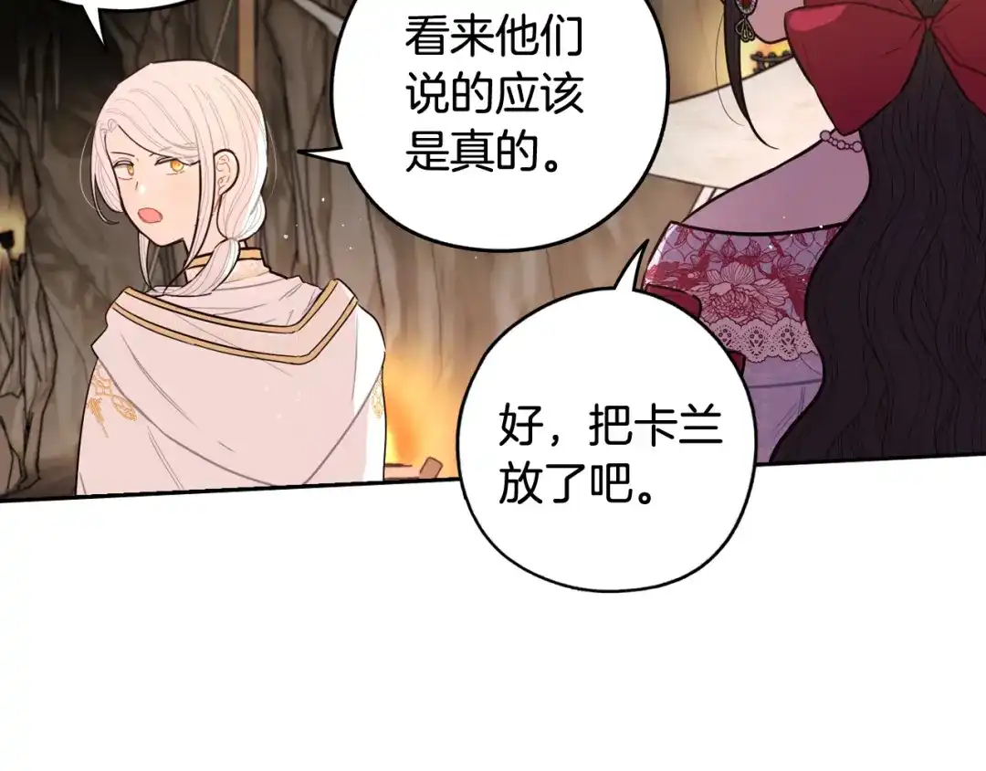 《我才不嫁皇太子！》第81话 很长的故事 第117页