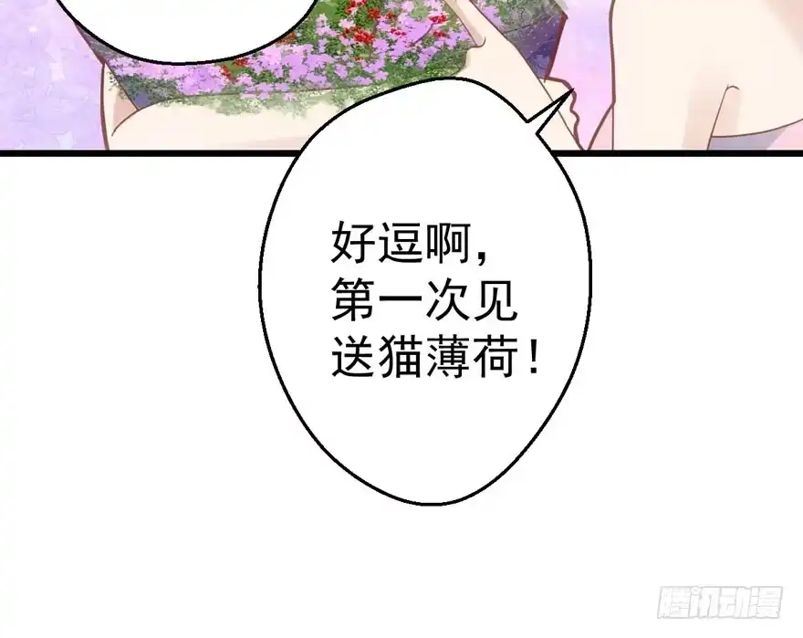 我才不是恶毒女配（麻辣女配） 有惊无险首映礼 第87页