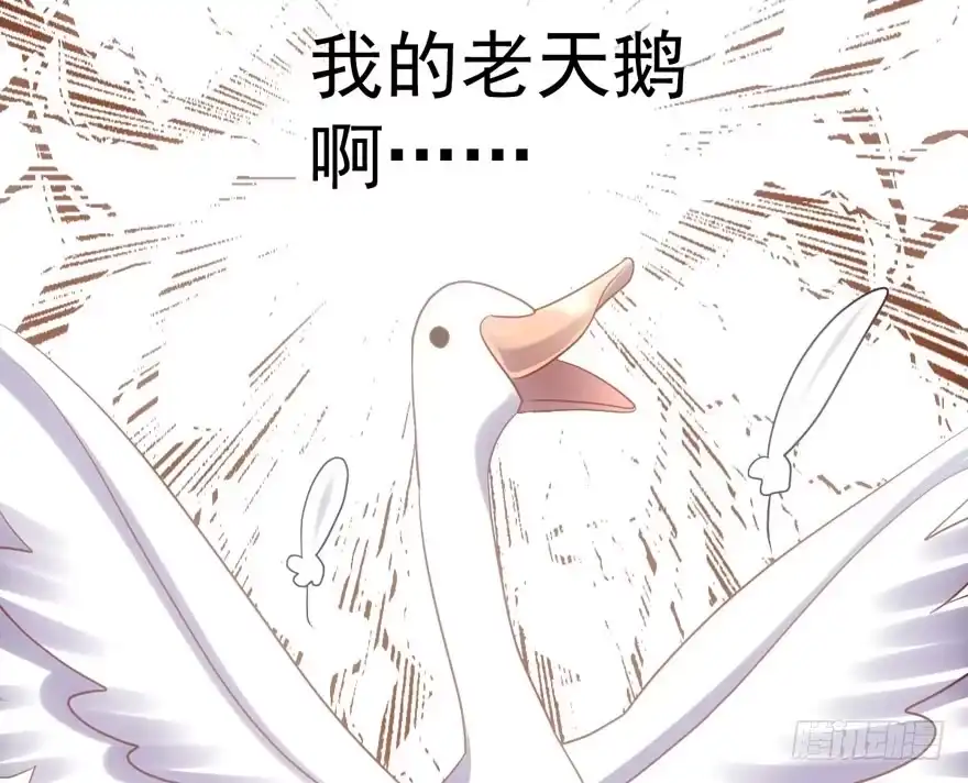 我才不是恶毒女配（麻辣女配） 男子气概我sandy姐 第49页