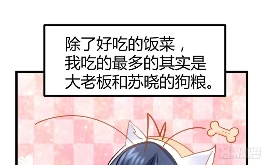 我才不是恶毒女配（麻辣女配） 番外，苏晓的助理（完） 第11页