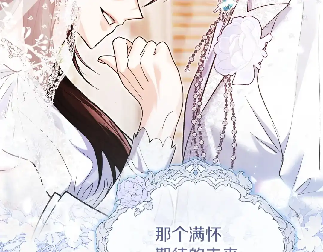 《我才是真正的家主》完结话 共度余生 第212页