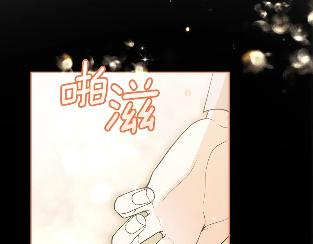 《我才是真正的家主》完结话 共度余生 第198页