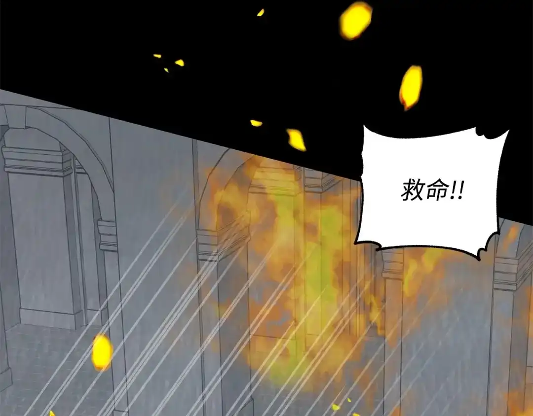 《我成了暗黑系小说主人公的夫人》14 回去的理由 第101页