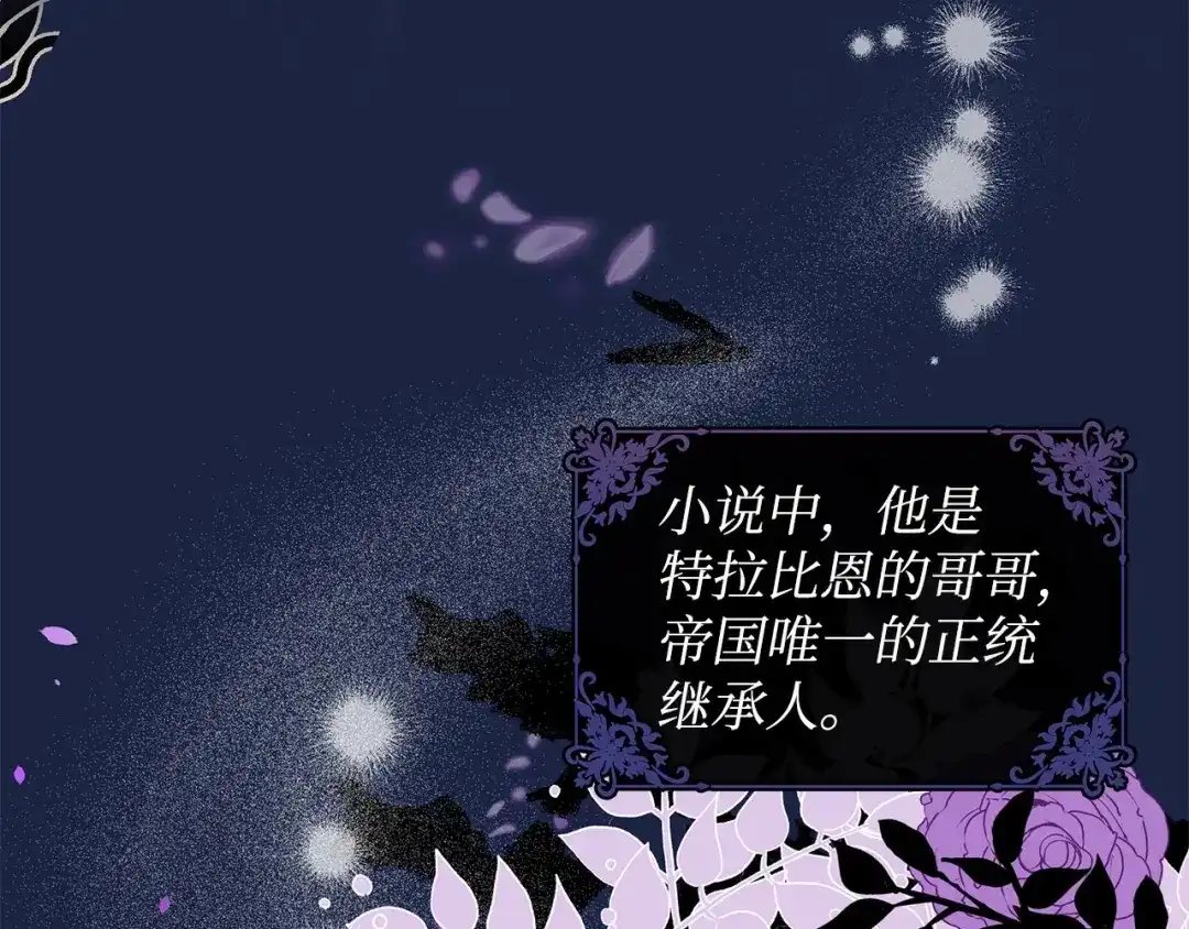 《我成了暗黑系小说主人公的夫人》16 皇太子 第107页