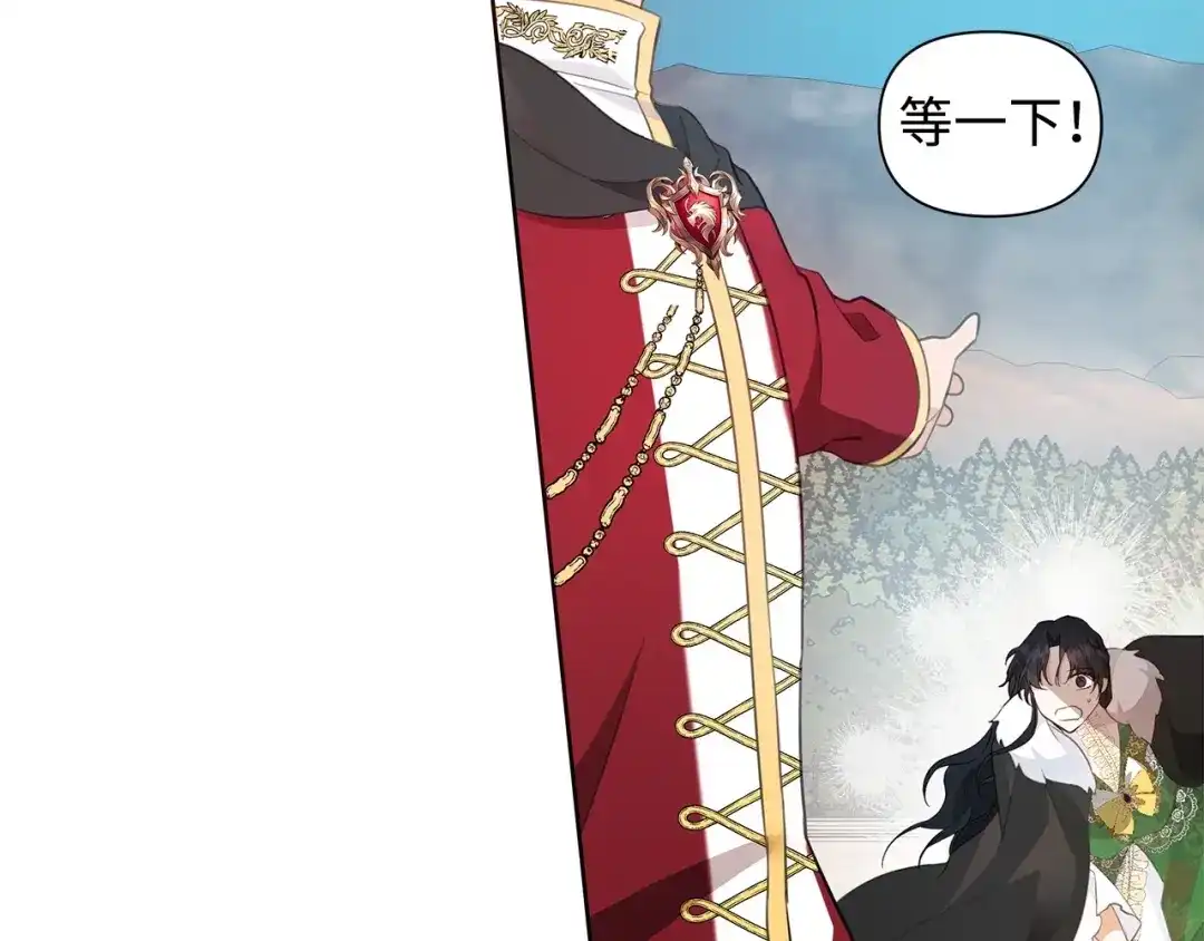 《我成了暗黑系小说主人公的夫人》17 负责 第70页