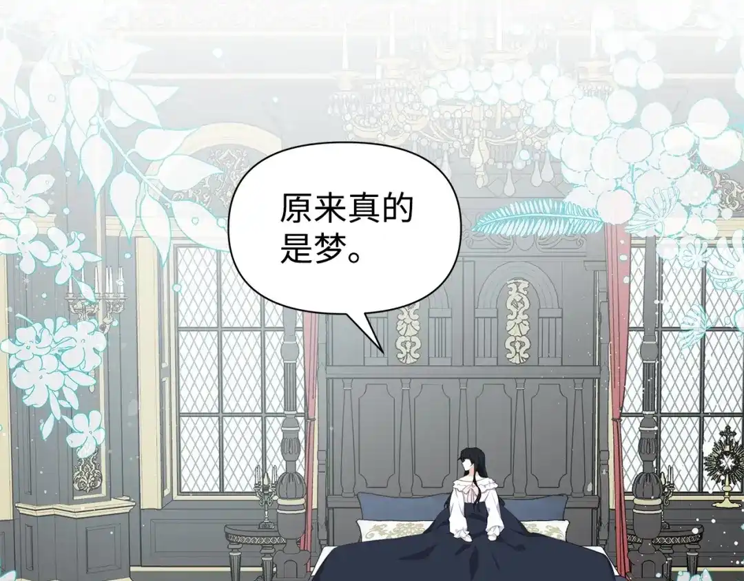 《我成了暗黑系小说主人公的夫人》18 降雪 第43页