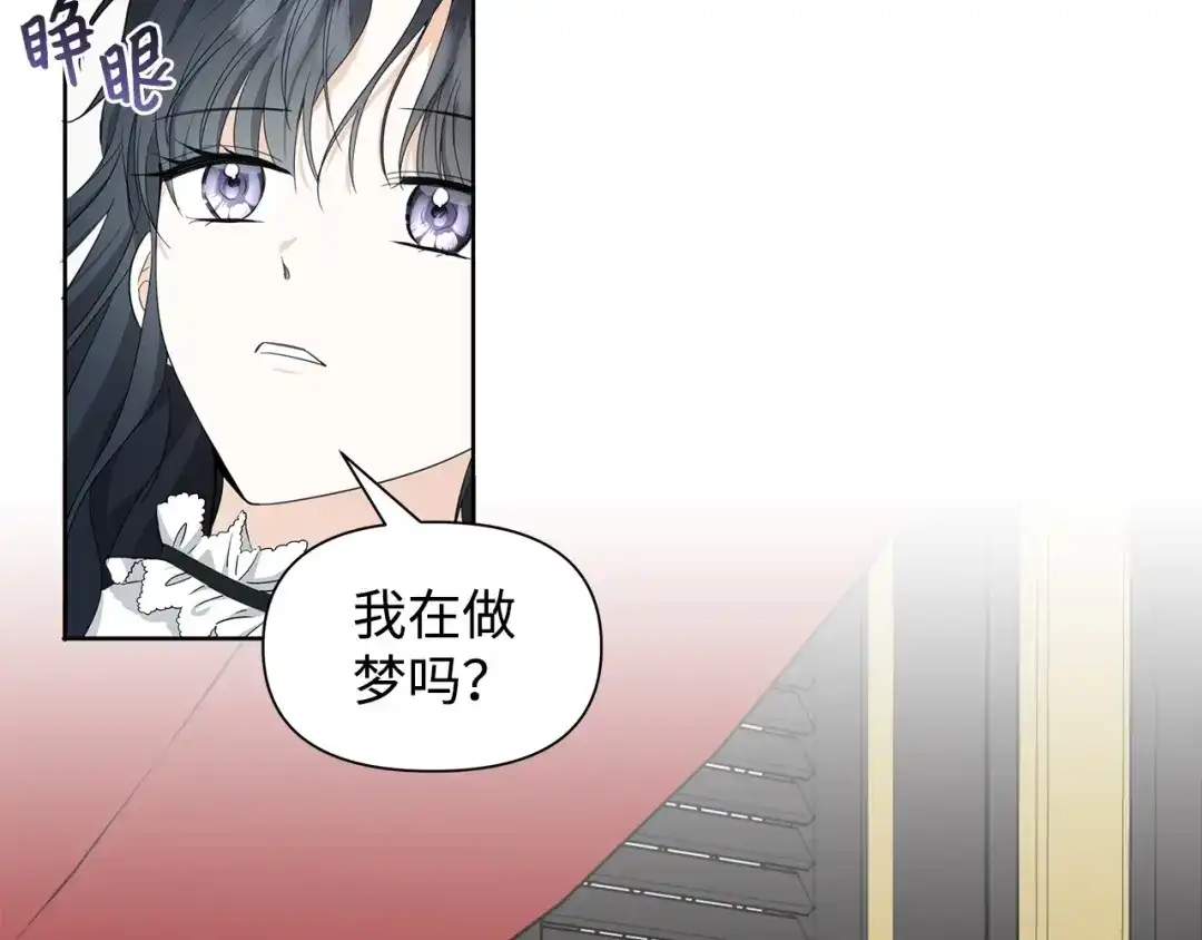 《我成了暗黑系小说主人公的夫人》18 降雪 第6页