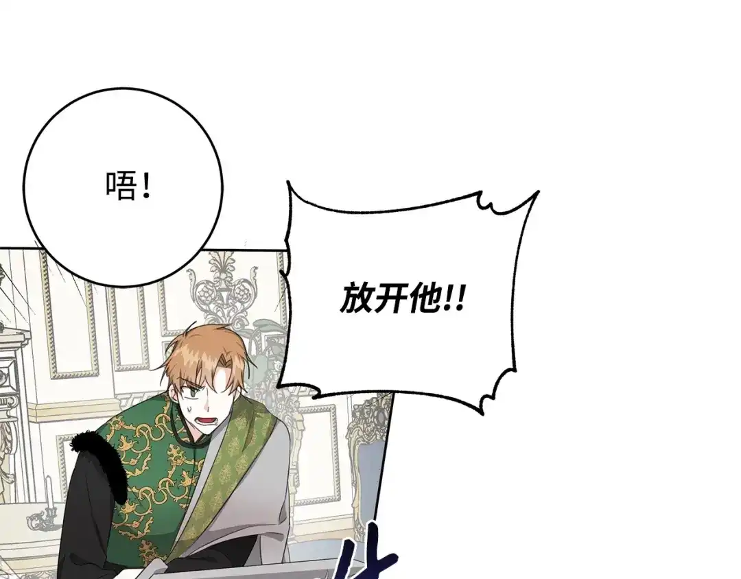 《我成了暗黑系小说主人公的夫人》21 幻觉 第27页