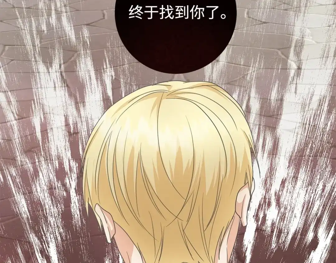 《我成了暗黑系小说主人公的夫人》21 幻觉 第99页