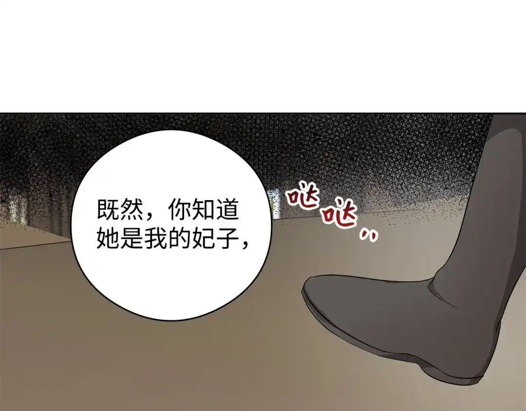 《我成了暗黑系小说主人公的夫人》21 幻觉 第146页