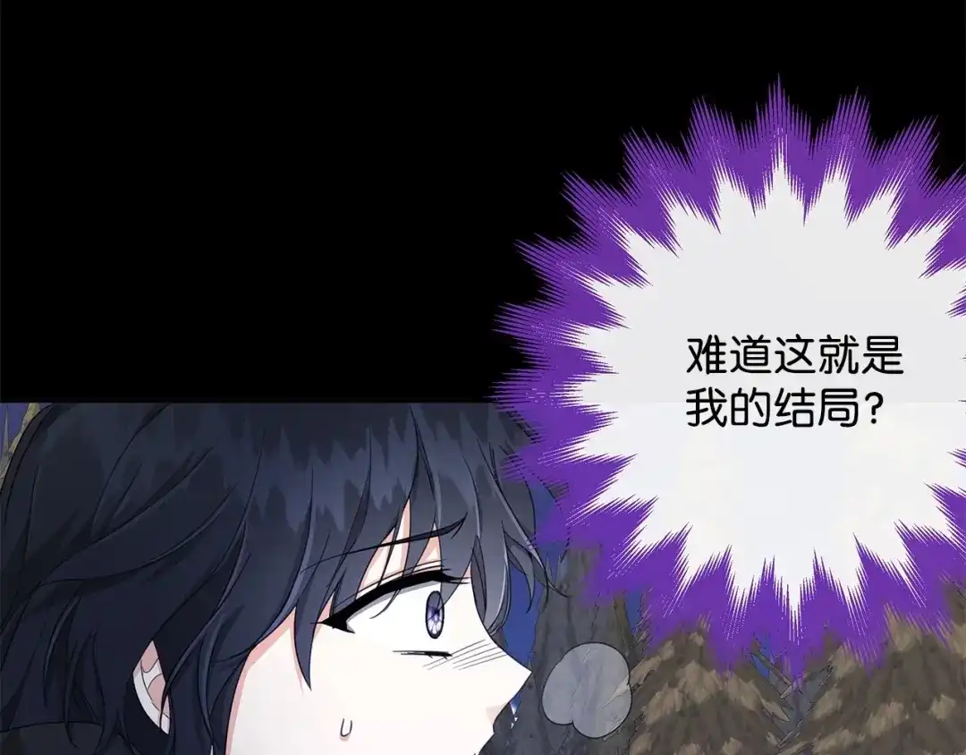 《我成了暗黑系小说主人公的夫人》25 召唤 第14页