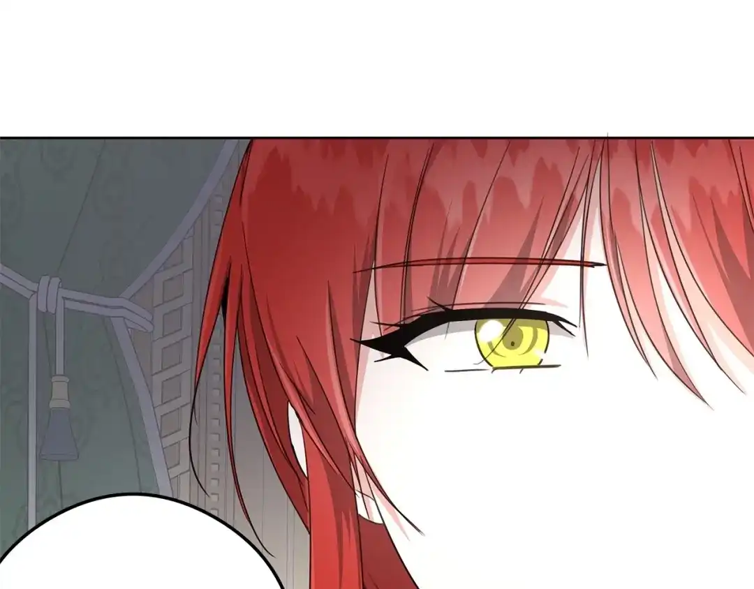 《我成了暗黑系小说主人公的夫人》25 召唤 第186页