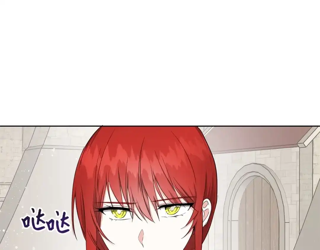 《我成了暗黑系小说主人公的夫人》25 召唤 第167页