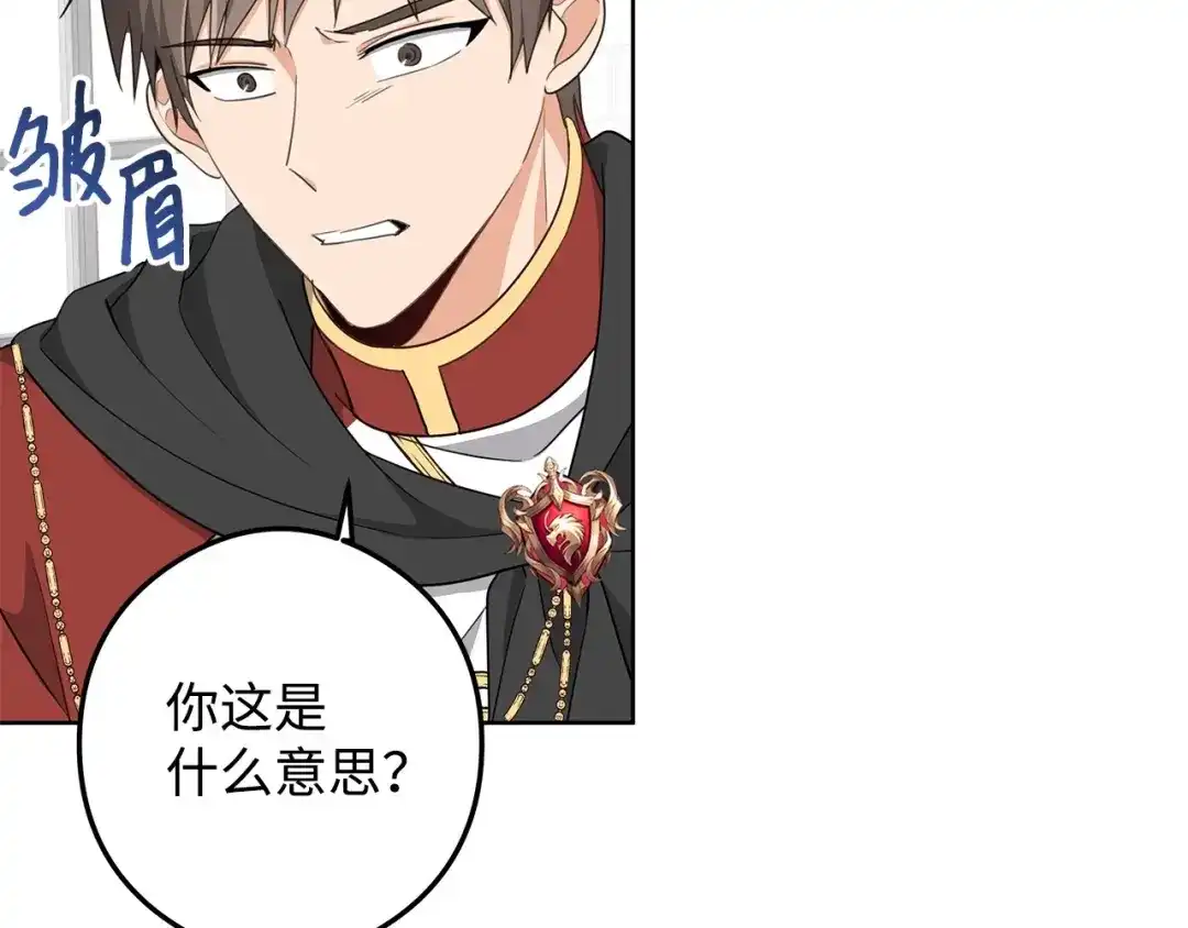 《我成了暗黑系小说主人公的夫人》25 召唤 第156页