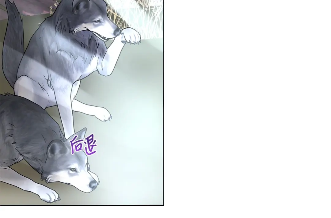 《我成了暗黑系小说主人公的夫人》25 召唤 第53页