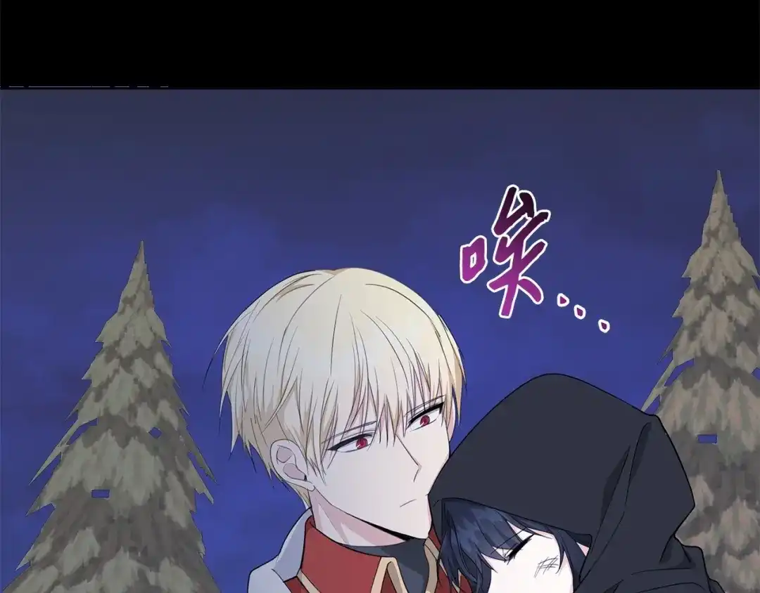 《我成了暗黑系小说主人公的夫人》25 召唤 第120页