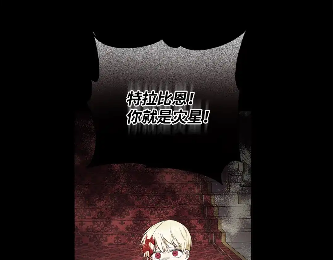 《我成了暗黑系小说主人公的夫人》28 毫无意义 第107页