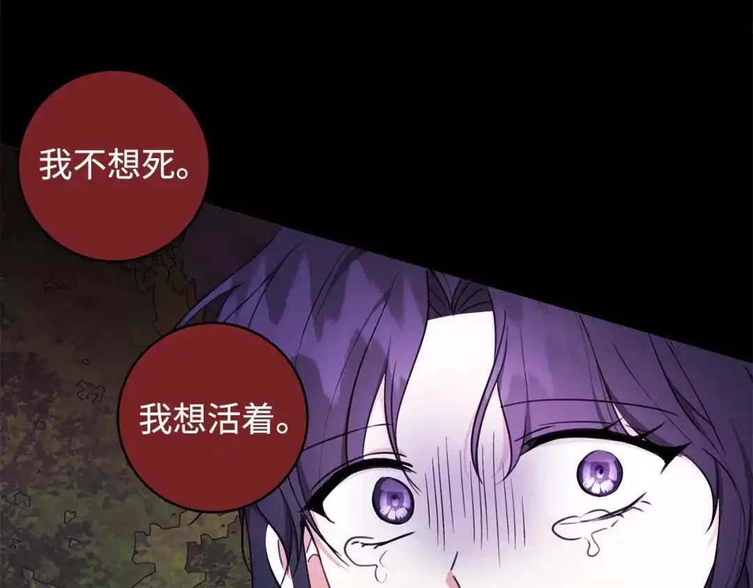 《我成了暗黑系小说主人公的夫人》30 那一夜 第69页