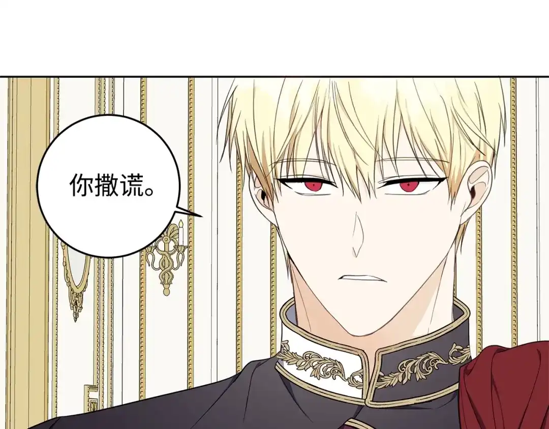 《我成了暗黑系小说主人公的夫人》30 那一夜 第117页