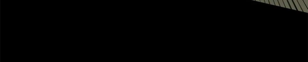 《我成了暗黑系小说主人公的夫人》30 那一夜 第66页