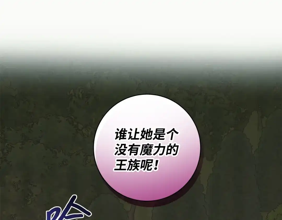 《我成了暗黑系小说主人公的夫人》31 央求 第17页