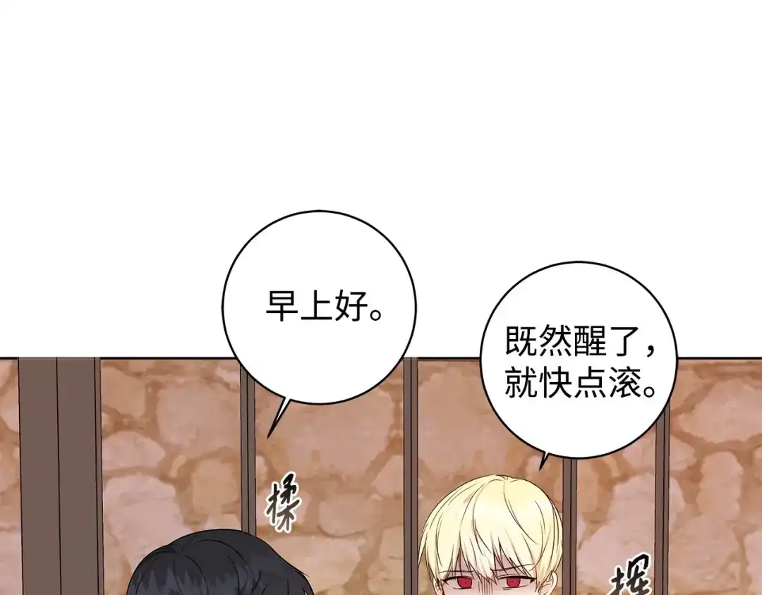 《我成了暗黑系小说主人公的夫人》32 晚霞 第12页