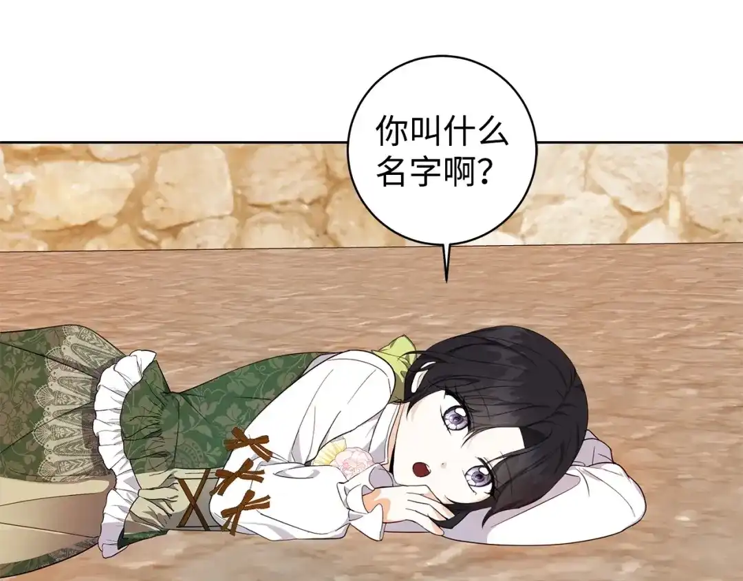 《我成了暗黑系小说主人公的夫人》32 晚霞 第89页