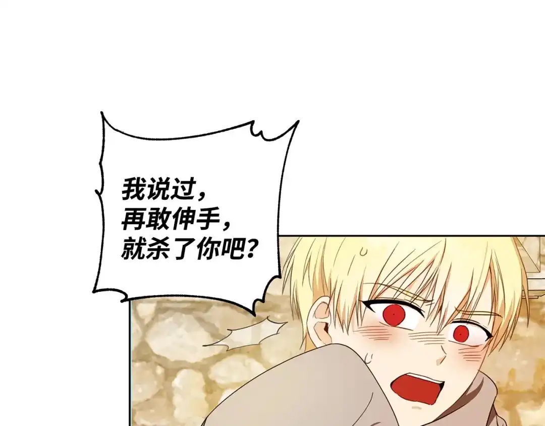 《我成了暗黑系小说主人公的夫人》32 晚霞 第123页
