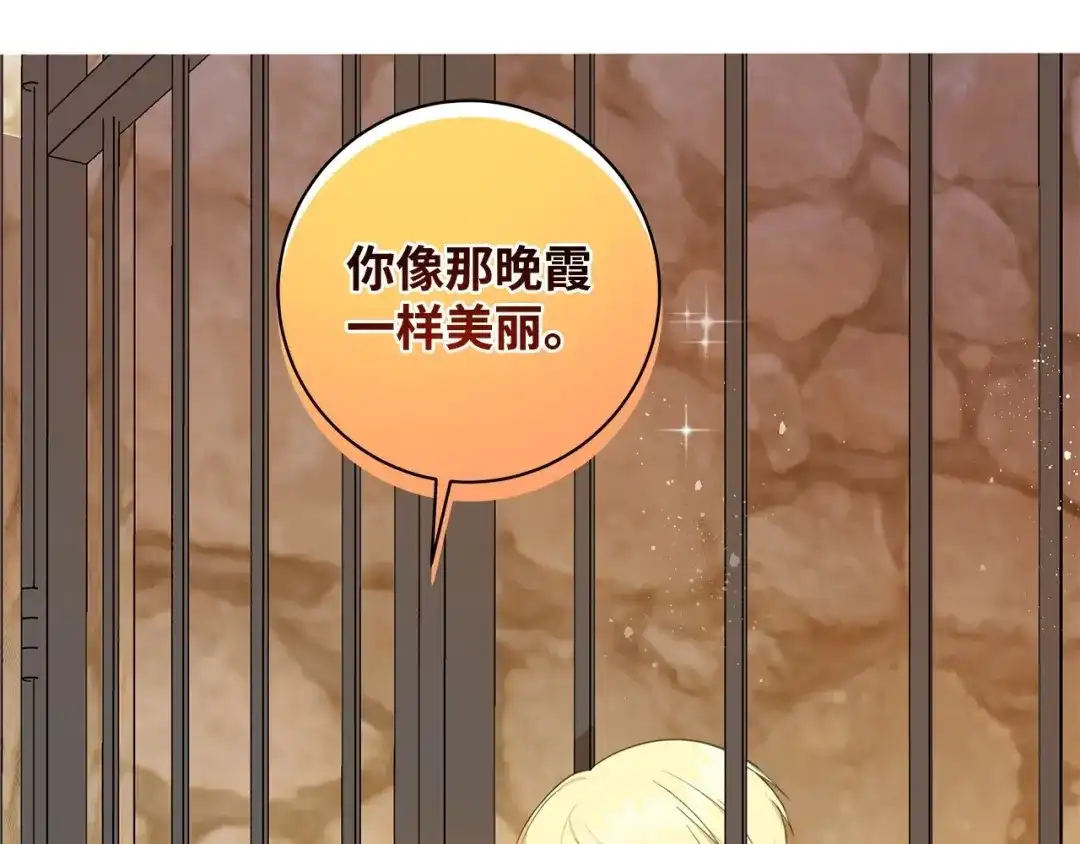 《我成了暗黑系小说主人公的夫人》32 晚霞 第115页