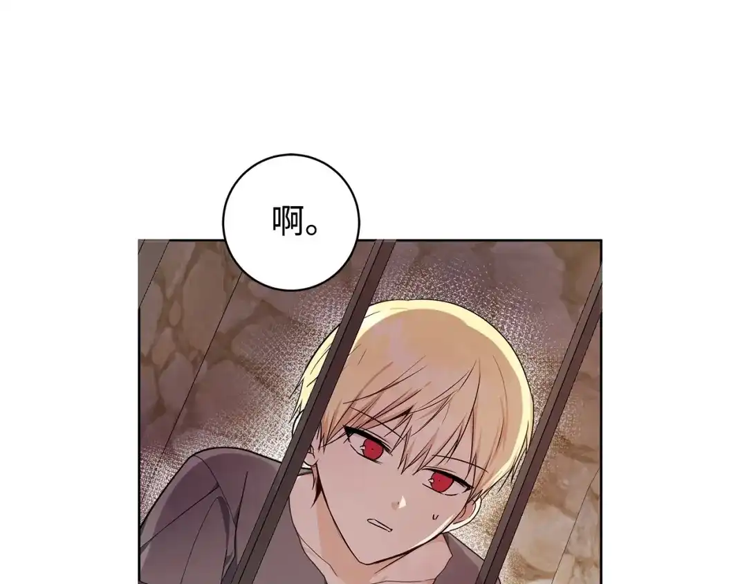 《我成了暗黑系小说主人公的夫人》32 晚霞 第9页
