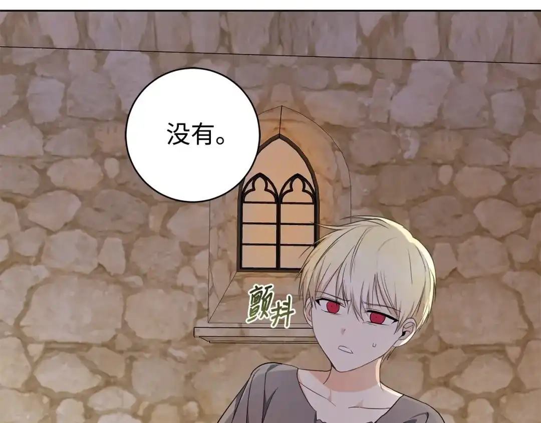 《我成了暗黑系小说主人公的夫人》32 晚霞 第111页