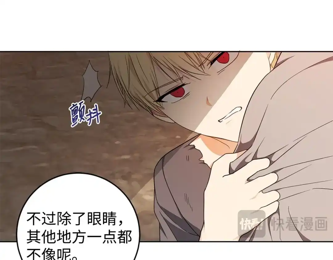 《我成了暗黑系小说主人公的夫人》32 晚霞 第97页