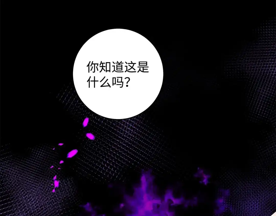 《我成了暗黑系小说主人公的夫人》32 晚霞 第77页