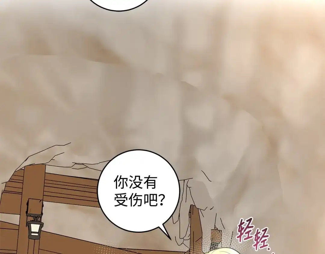《我成了暗黑系小说主人公的夫人》33 你的名字 第116页