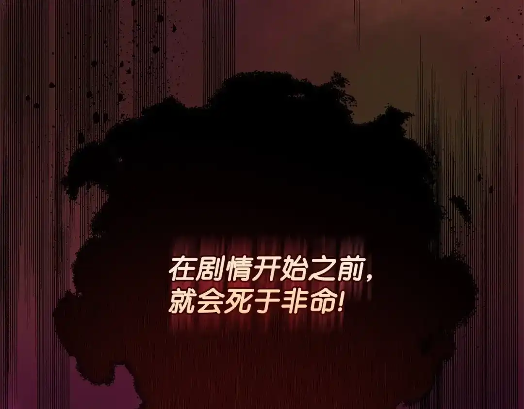 《我成了暗黑系小说主人公的夫人》35 逃离计划 第24页