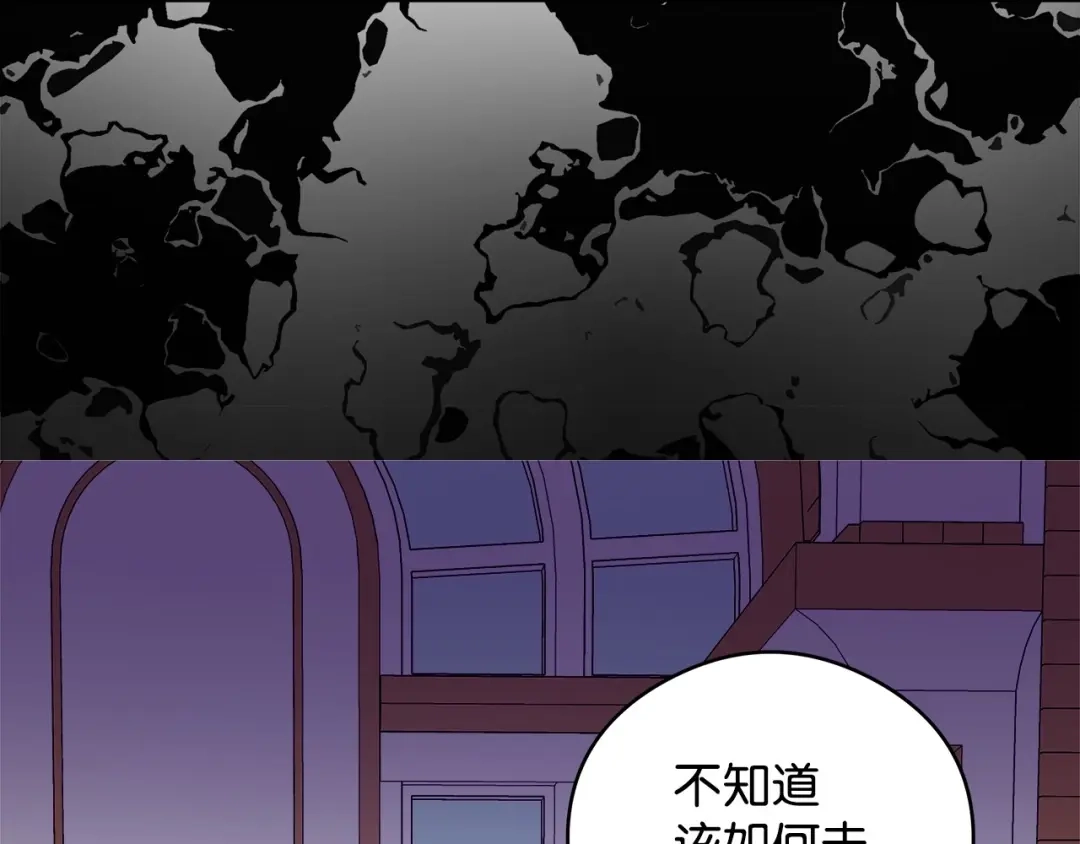 《我成了暗黑系小说主人公的夫人》45 为了挚爱 第34页