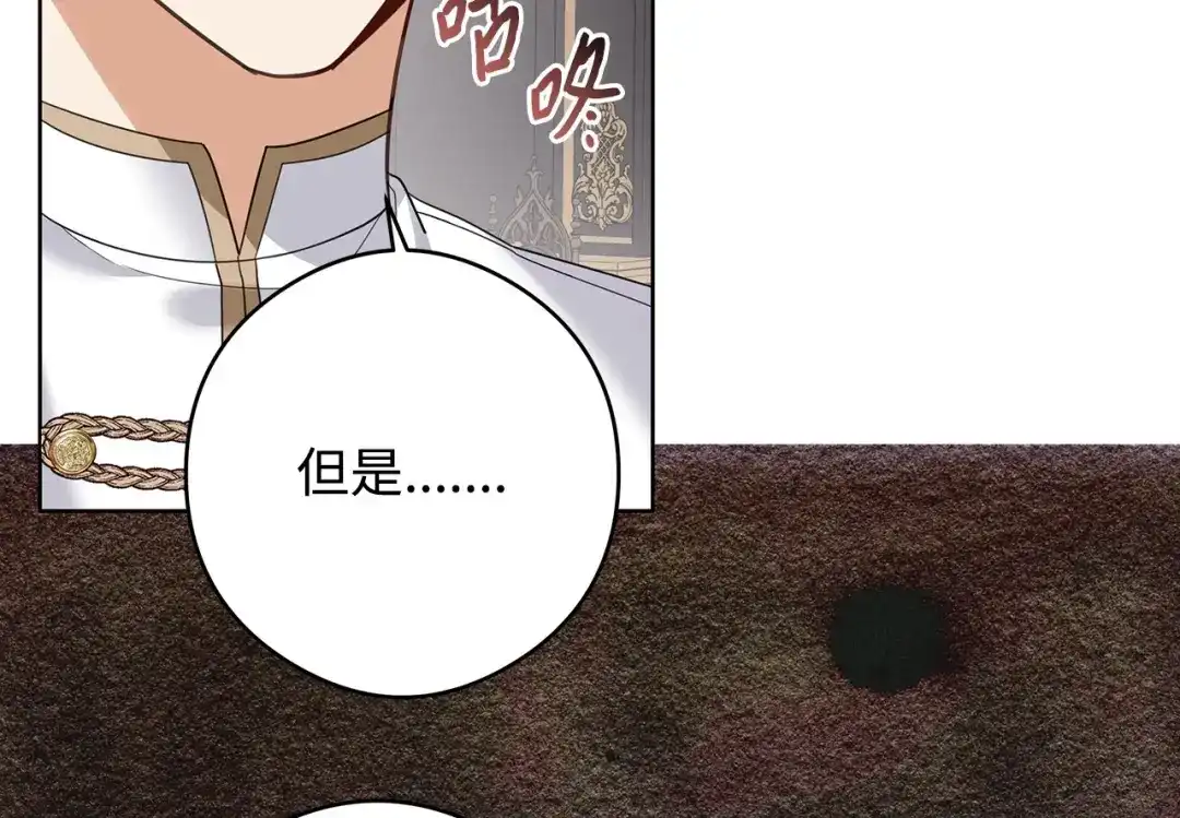 《我成了暗黑系小说主人公的夫人》48 冥冥之中自有安排 第144页