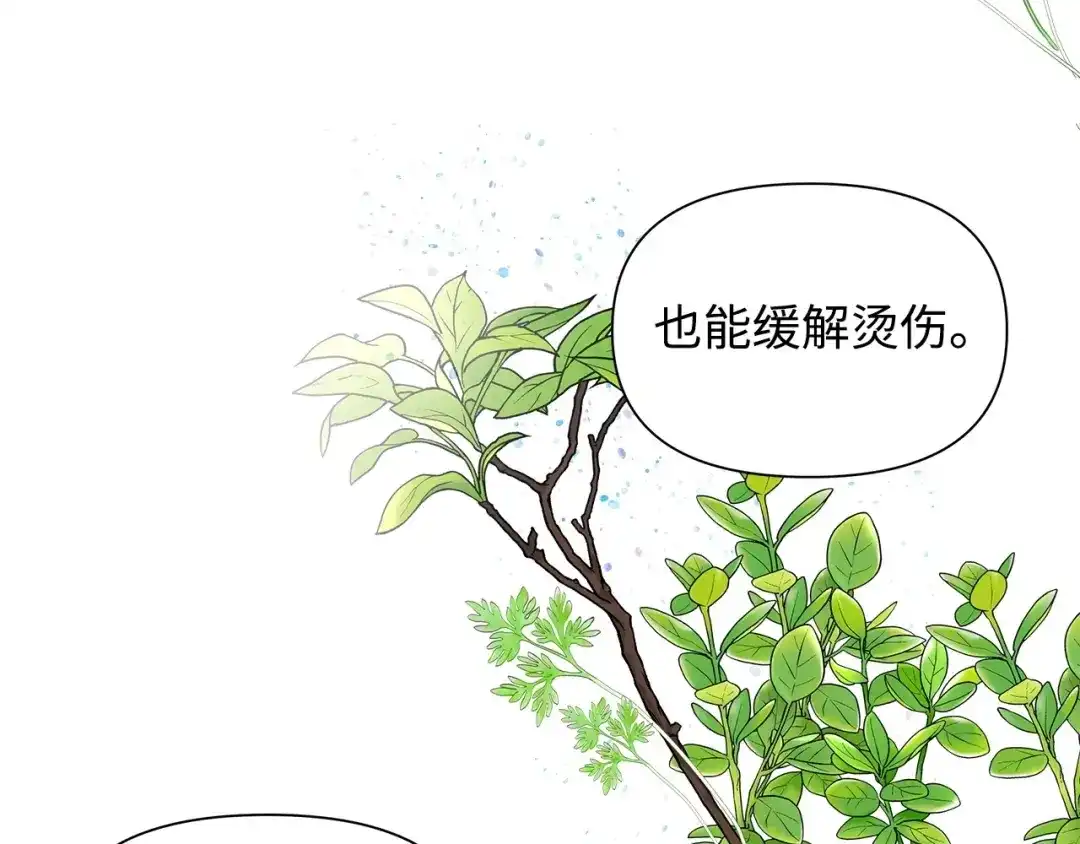 《我成了暗黑系小说主人公的夫人》04 心甘情愿 第63页