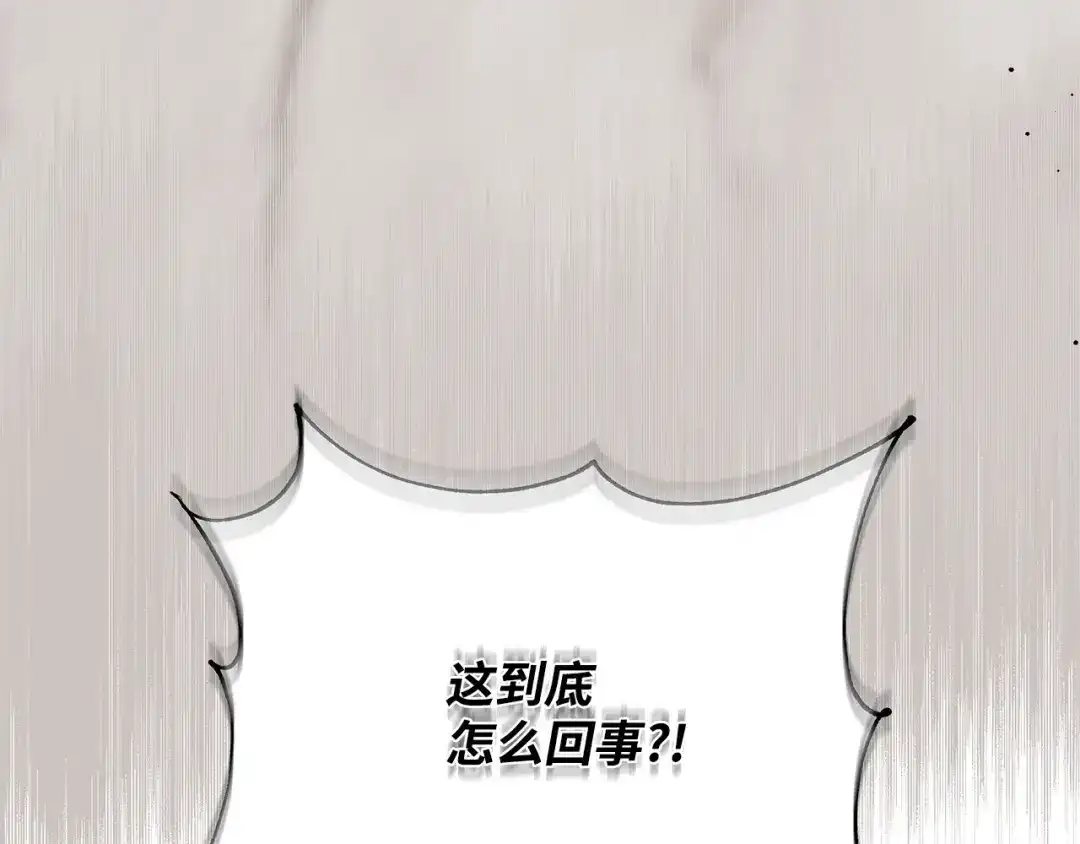《我成了暗黑系小说主人公的夫人》04 心甘情愿 第160页