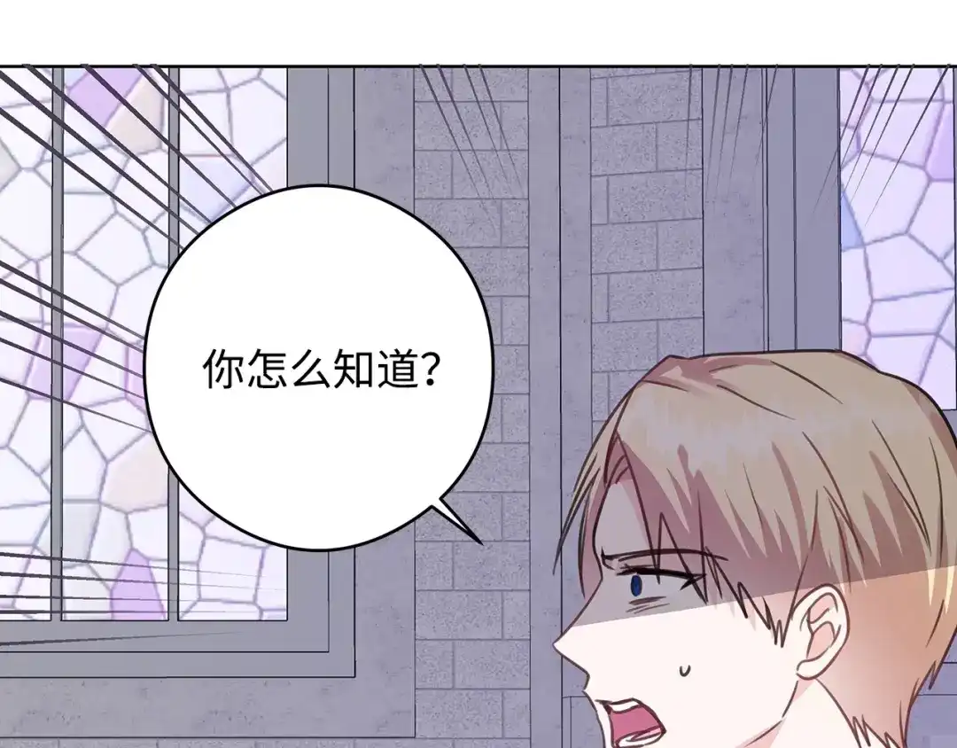 《我成了暗黑系小说主人公的夫人》49 真实身份 第178页