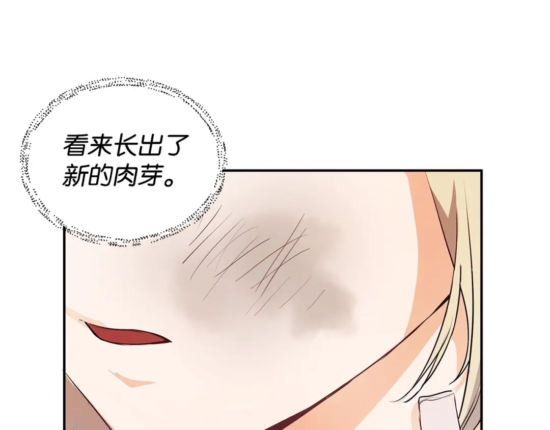 《我成了暗黑系小说主人公的夫人》05 换房间 第197页
