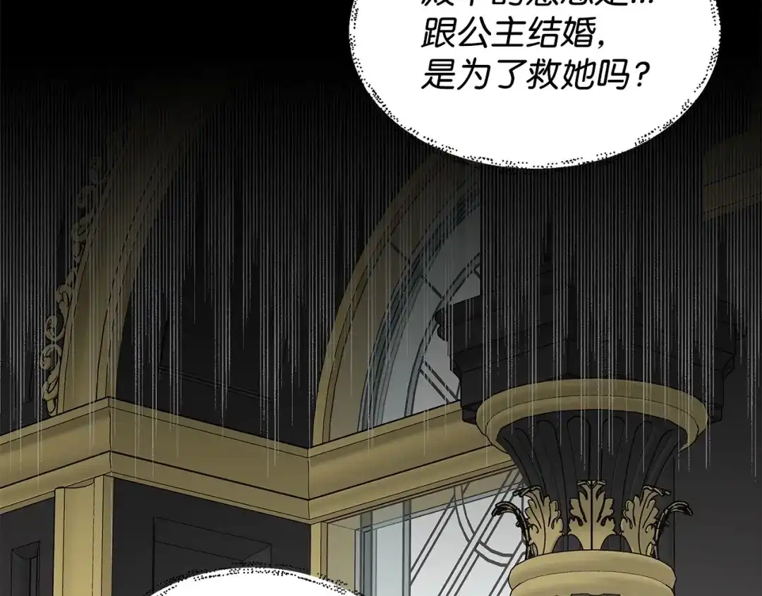 《我成了暗黑系小说主人公的夫人》08 故交 第110页