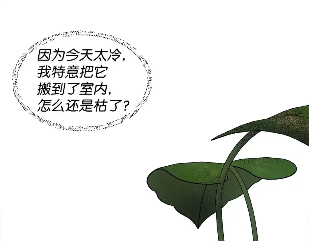《我成了暗黑系小说主人公的夫人》08 故交 第35页