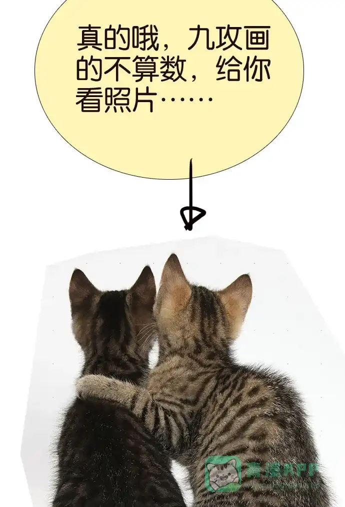 《我的ID是咚漫作家》[第5问]《18不限》作家访谈 第30页