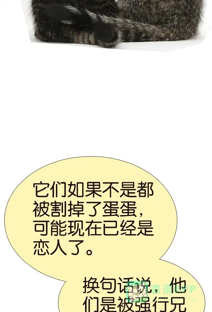 《我的ID是咚漫作家》[第5问]《18不限》作家访谈 第31页