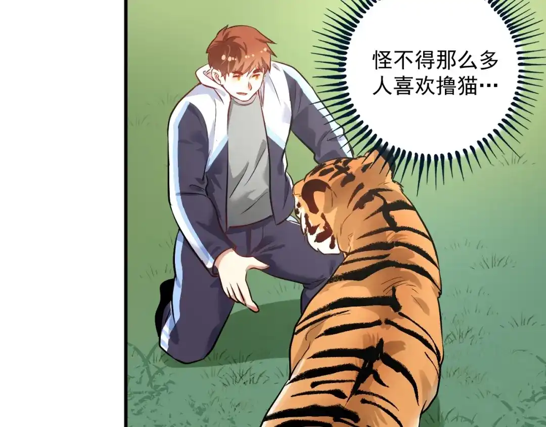 《我的成就有点多》第167话 第二只老虎？ 第77页